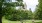 a group of people sitting in a park with trees and a castle in the background